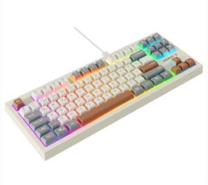 Everest KB-98 SILENT TKL Gri-Gri Mavi-Kahve Rainbow Q Membrane Klavye