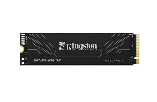 Kingston 4TB Renegade SRNG2S-4T0 14800-14000MB-S M2 Nvme Gen5 Ssd Disk