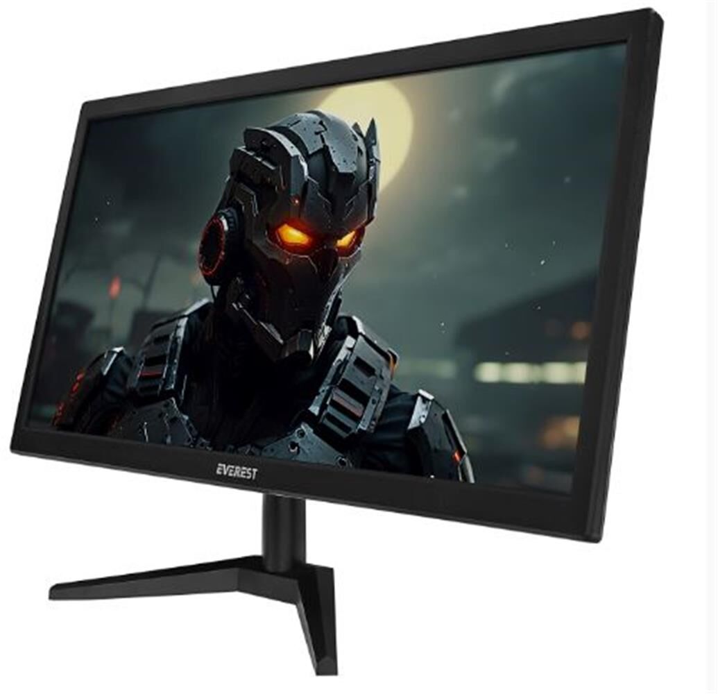 Everest M665 19.5'' 75Hz HD 1600-900 VGA+HDMI PC Led Monitör