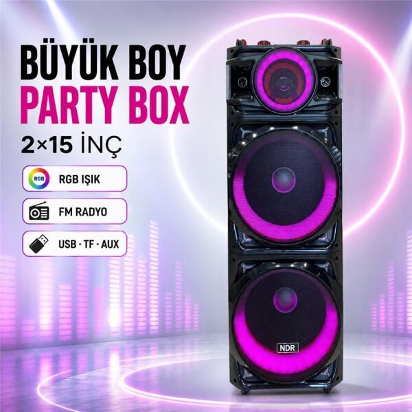 NDR NDR1526 Çift Karaoke Mikrofonlu Bluetooth Hoparlör FM Radyo 100W 2x15 İnç RGB Kumandalı Siyah
