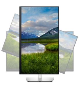 Dell 27'' P2722H 5ms 60Hz FHD 1920x1080 HDMI DP USB VGA Asansör Pivot IPS LED Monitör