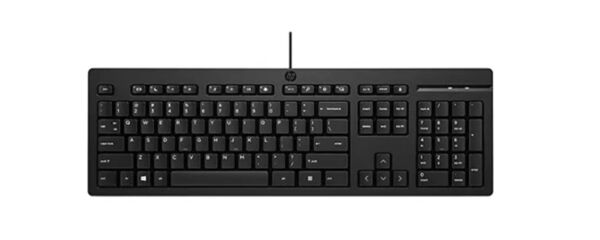 Everest KB-68 Shin Siyah Rainbow Q Membrane Klavye RGB