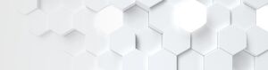 Kioxia Exceria Plus G4 LVD10Z001TG8 1TB Gen5 10000