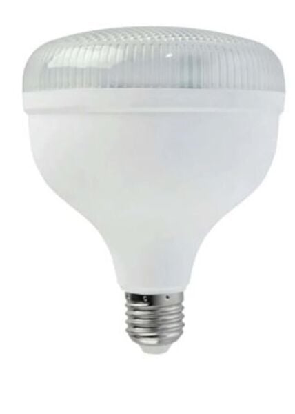 Horoz Crystal-40 Torch Led Ampul 40W Flament