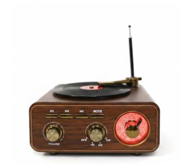 Everton RT-712  Bluetooth Usb-Micro Plak Radyo