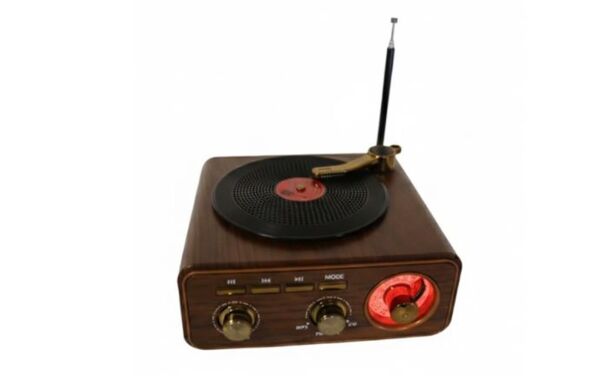 Everton RT-712  Bluetooth Usb-Micro Plak Radyo