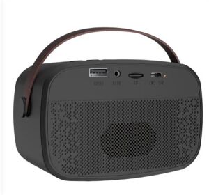 Mikado MD-57BT Endless 5W Siyah TF + USB + AUX + BT Destekli 2 Wireless Karaoke Mikrofon 1200mAh