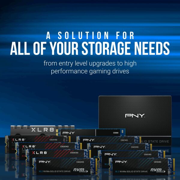 PNY CS2230 2TB 3300/2600 NVMe PCIe M.2 SSD (M280CS2230-2TB-RB)