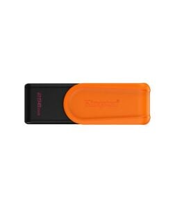 Kingston 256GB DataTraveler Exodia S