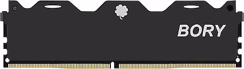 32 GB DDR5 5600MHZ BORY KUTULU NB