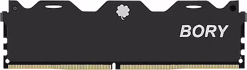 32 GB DDR5 5600MHZ BORY KUTULU NB