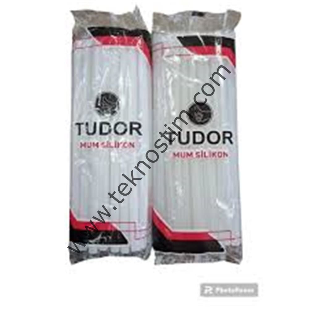 Tudor Macrofix Mum Silikon İnce 1KG
