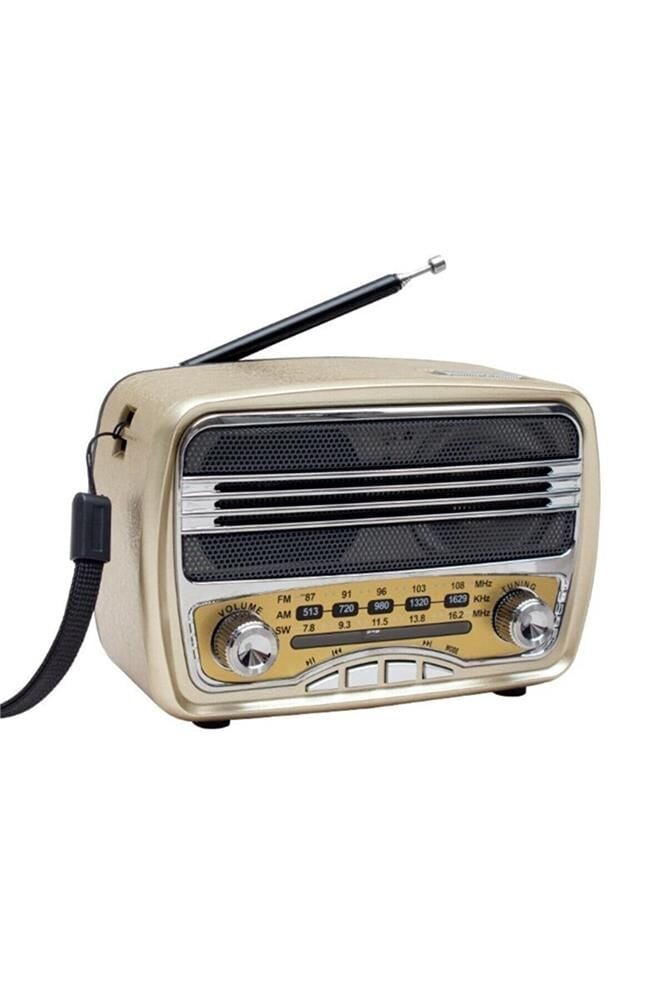 Everton Rt-666 Fm-Usb-Tf-Aux Şarjlı Nostaljik Radyo