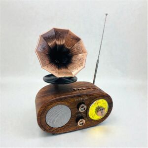 Everton Rt-746  Bluetooth Fm-Usb-Tf-Aux  Şarjlı Nostaljik Radyo