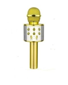 ACL WS-858 Wireless  Karaoke  Hoparlör (BLS-25)