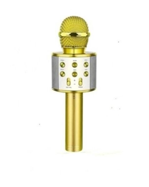 ACL WS-858 Wireless  Karaoke  Hoparlör (BLS-25)