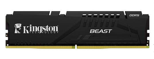 16GB DDR5 6000M CL36 KF560C36BBE2-16TR KINGSTON BEAST 1x16G