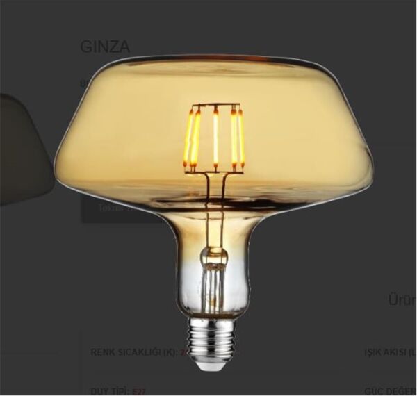 Horoz Ginza-8 Led Ampul 2400K 8W Flament