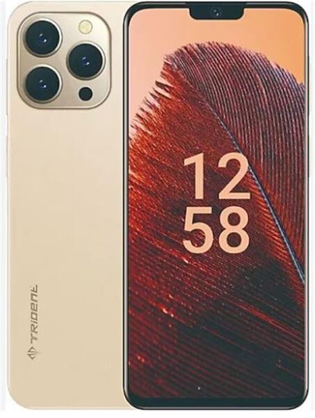 Trident A55 128GB Hafıza 6GB Ram 6,52'' Gold Cep Telefonu